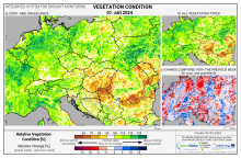 Dopady na vegetaci - Evropa - 1. září 2024