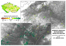 Vegetace trvalých kultur - 7. březen 2021