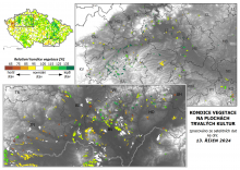 Vegetace trvalých kultur - 13. říjen 2024
